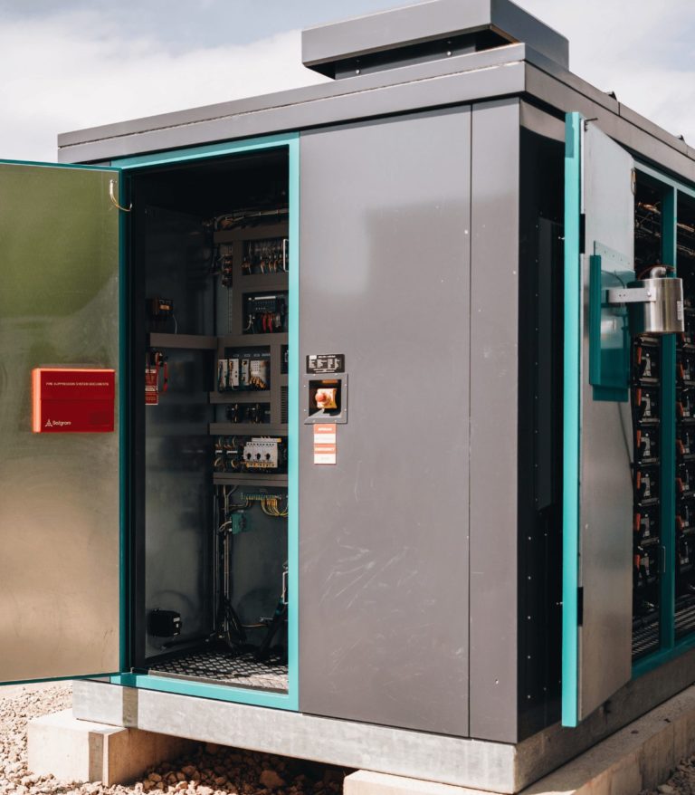 PAKALPOJUMI-CACTUS (7)